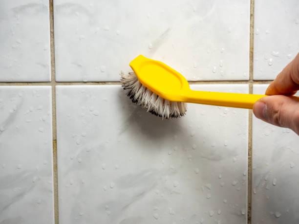 Professional Mold Removal in Ashland, CA