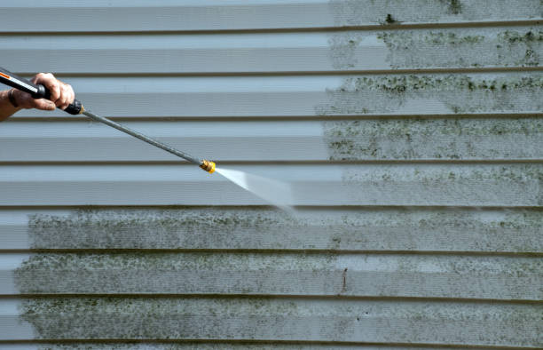 Best Mold Damage Repair  in Ashland, CA